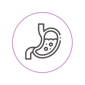 Bile Reflux into the Stomach Illustration